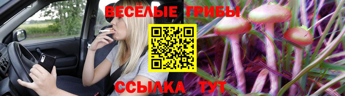 Дубна  Псилоцибиновые грибы Psilocybe  Вход с VPN  продажа наркотиков  Галлюциногенные грибы Psilocybine cubensis 